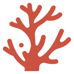 Coral  Icon