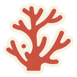 Coral  Icon