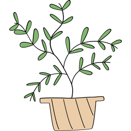 Houseplant  Icon