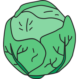 Cabbage  Icon