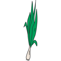 Leek  Icon