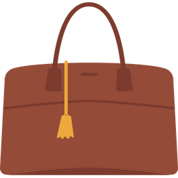 Women Bag  Icon