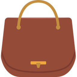 Women Bag  Icon