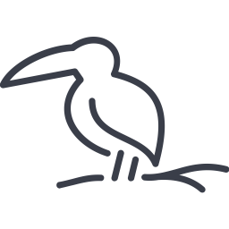 Bird  Icon