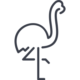 Flamingo  Icon