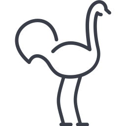 Ostrich  Icon