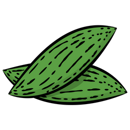 Bitter Gourd  Icon