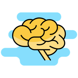 Human Brain  Icon