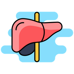 Liver  Icon