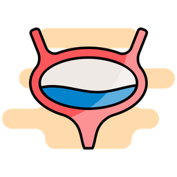 Bladder  Icon