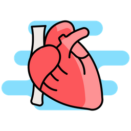 Heart  Icon