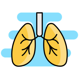 Lungs  Icon