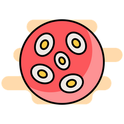 Blood Cells  Icon