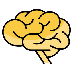 Human Brain  Icon