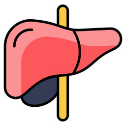 Liver  Icon