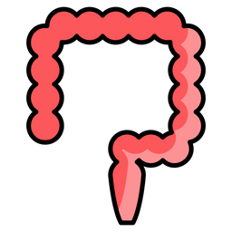 Colon  Icon