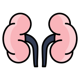 Adrenal Glands  Icon