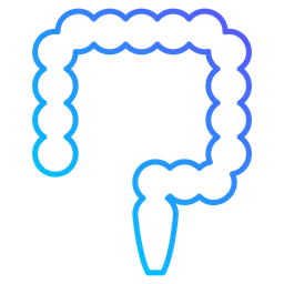 Colon  Icon