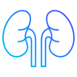 Kidneys  Icon