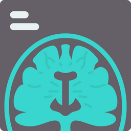 Brain  Icon