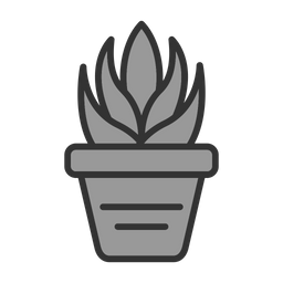 Aloe  Icon