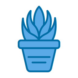 Aloe  Icon