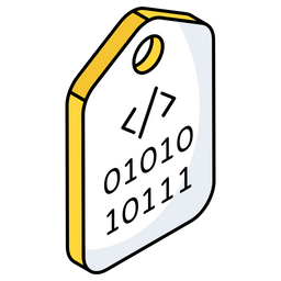 Binary Code Tag  Icon