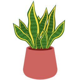 Sansevieria trifasciata  Icon