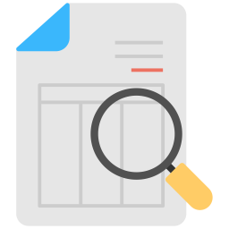 Audit  Icon