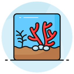 Coral  Icon