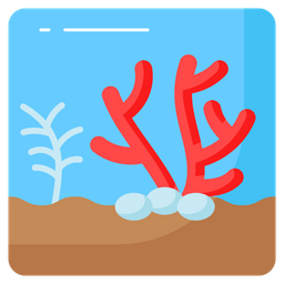 Coral  Icon