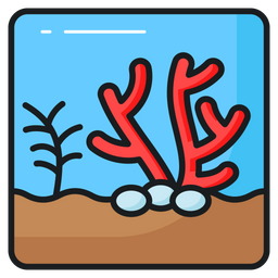 Coral  Icon