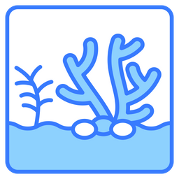 Coral  Icon