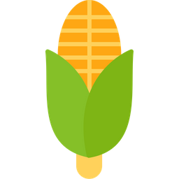 Corn  Icon