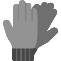 Gloves  Icon