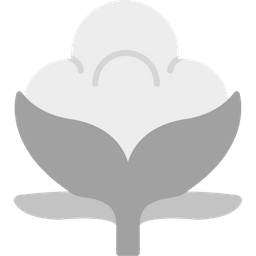 Cotton  Icon