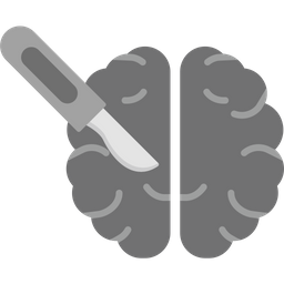 Brain  Icon