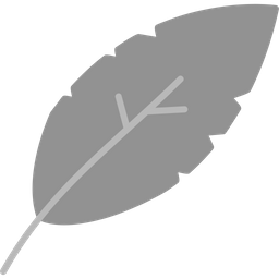 Feather  Icon