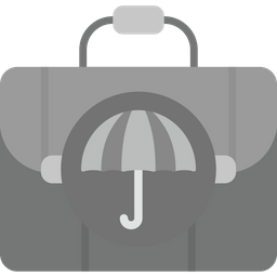 Baggage insurance  Icon