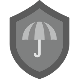 Delivery insurance  Icon