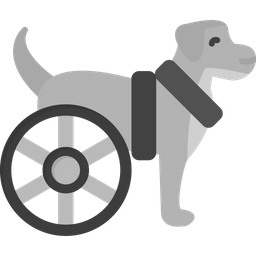 Dog  Icon