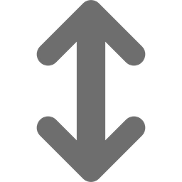 Double Arrow  Icon