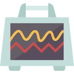 ECG  Icono