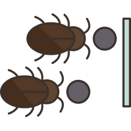 Cockroach  Icon