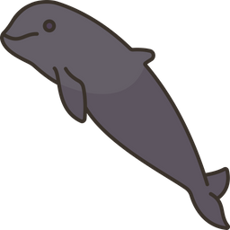 Dolphin  Icon