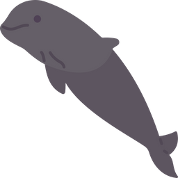 Dolphin  Icon