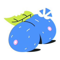 Blueberries  Icon