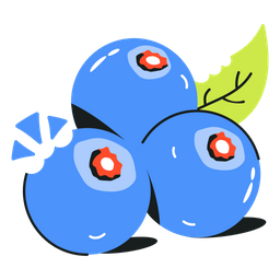 Blueberry Fruit  Icon