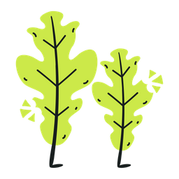 Arugula Leaves  Icon