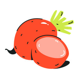 Beetroot  Icon